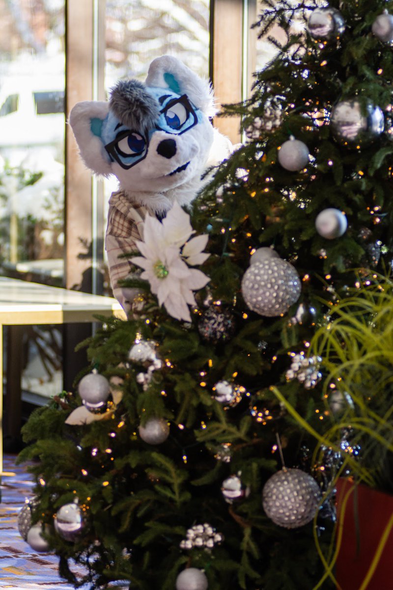 Mutey 💙 tweet media