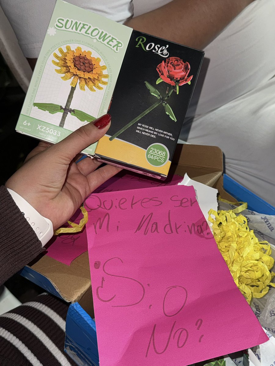 apaolam12's tweet photo. Una vez le conté a una personita que me gustaban los legos de flores y ayer me sorprendió con esta propuesta y regalo 💝 https://t.co/NWtt8Kt4hZ