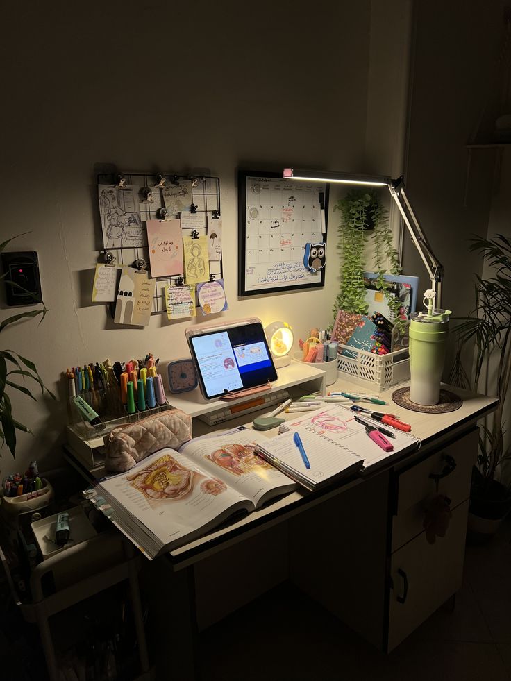 solukayna's tweet image. 