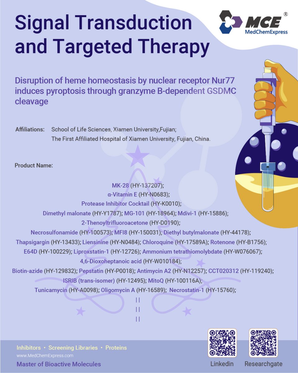 MCE_JP's tweet photo. 🚀 From Bench to Paper｜#Pyroptosis による #Melanoma 治療戦略

アポトーシス抵抗性を示すメラノーマに対し、新たな治療戦略が報告されました。ガスダーミンを介したパイロトーシスに着目し、#GSDMC が主要な実行因子であることを解明。

🔬 リード化合物 DdBIC は #Nur77 を標的とし、SDHA調節、ヘム破綻、ROS産生を伴うミトコンドリアカスケードを誘導。OMA1・OPA1・PERK依存性ストレス応答を活性化し、最終的に グランザイムB が GSDMC を切断して #Pyroptosis を誘導します。本経路は従来のカスパーゼ依存機構を回避する点が特徴です。

🧪 MedChemExpress 製品は研究用試薬として提供されています👉https://t.co/lKYyMRXfyR