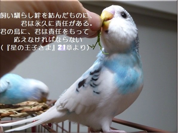 プロジェクト北極星💫 (@PJ_Polar_Star33) / Posts / X