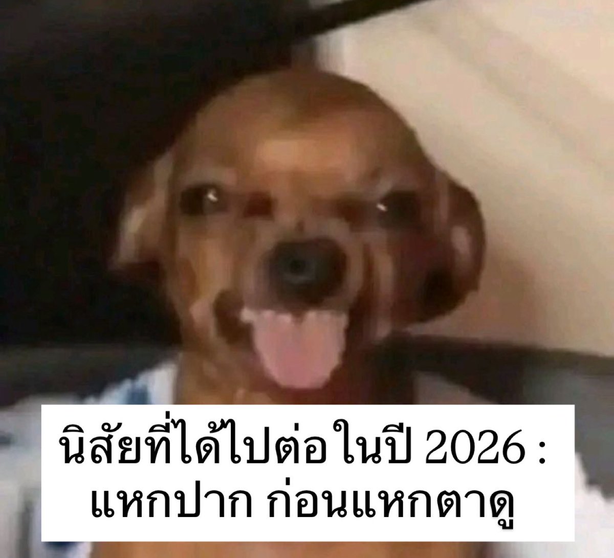 sfkkfs_'s tweet image. ความจริง 5555555555555555555