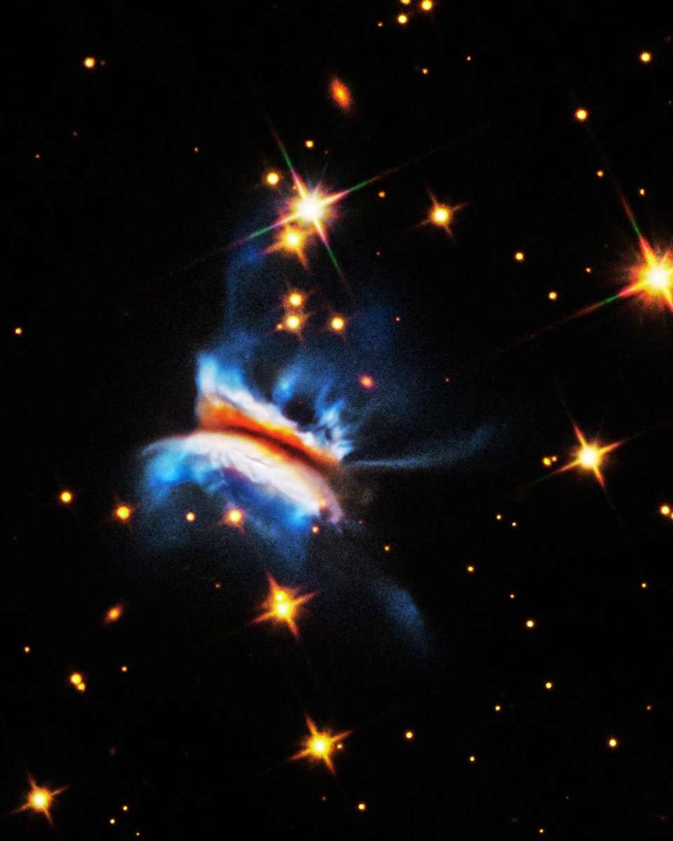 tesspacexoxo's tweet photo. 🌌 A 1.000 años luz, el Hubble captó el mayor disco protoplanetario: IRAS 23077+6707, apodado “Chivito de Drácula”.
Mide 640,000 millones km  y oculta su estrella central, quizá masiva o doble. Su rareza y detalle revelan que los viveros planetarios son mucho más caóticos. https://t.co/SnVisIzjJe