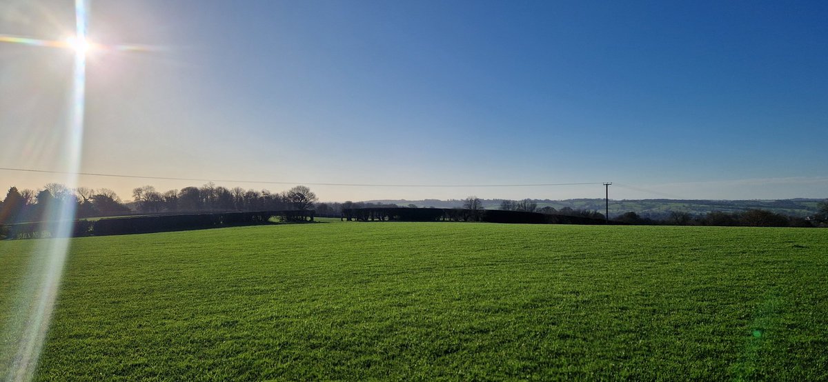 Ian Burgoyne tweet media