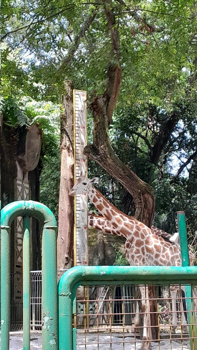 ੯‧̀͡⬮ tweet media