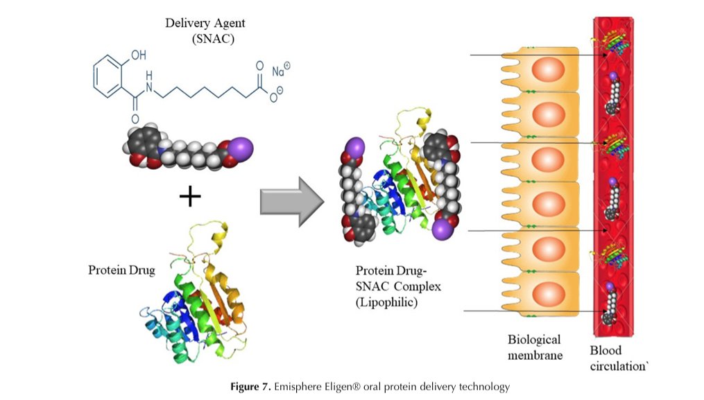 Taking the Wegovy pill exactly as directed is extremely important. If patients shortcut the instructions, they dramatically blunt absorption and lose the benefit of the drug. When the tablet is taken after an overnight fast with only a small volume of plain water and no other