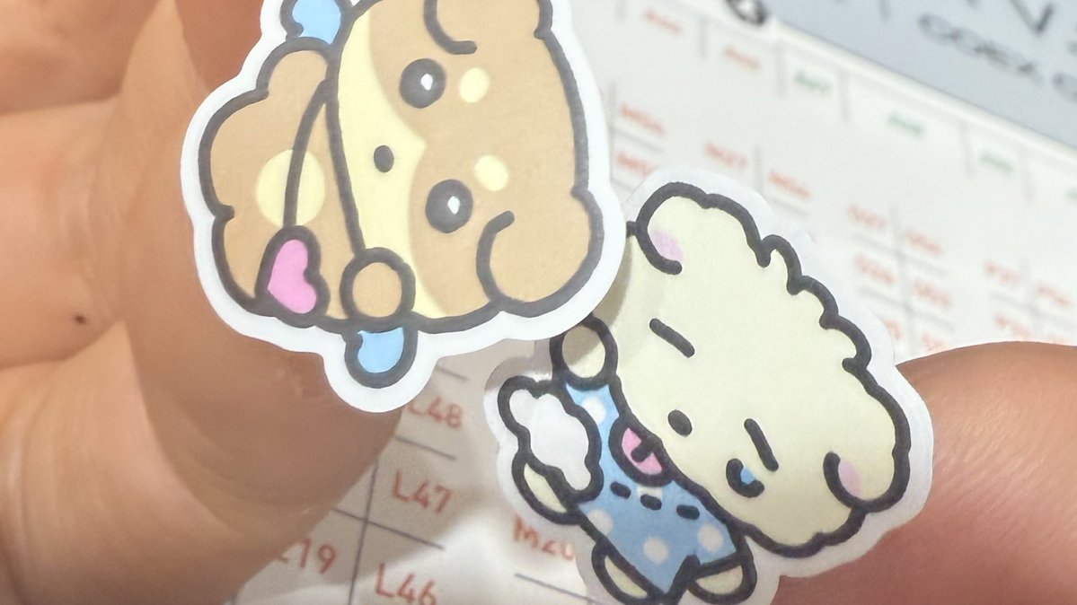 처음 와본 서일페 굿 경험 ｡