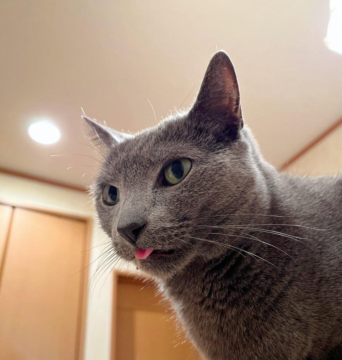 いつもより出ております🤭 しかも🤤が~🤣