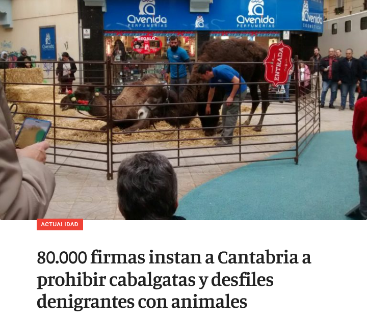 CABALGATAS DE SUFRIMIENTO 🦌🐪❌

Desde <a href="/ffw_es/">Fundación Franz Weber</a> sumamos más de 80.000 firmas para que comunidades como #Cantabria dejen de permitir estos espectáculos bochornosos.

📰elfaradio.com/2025/12/26/80-…