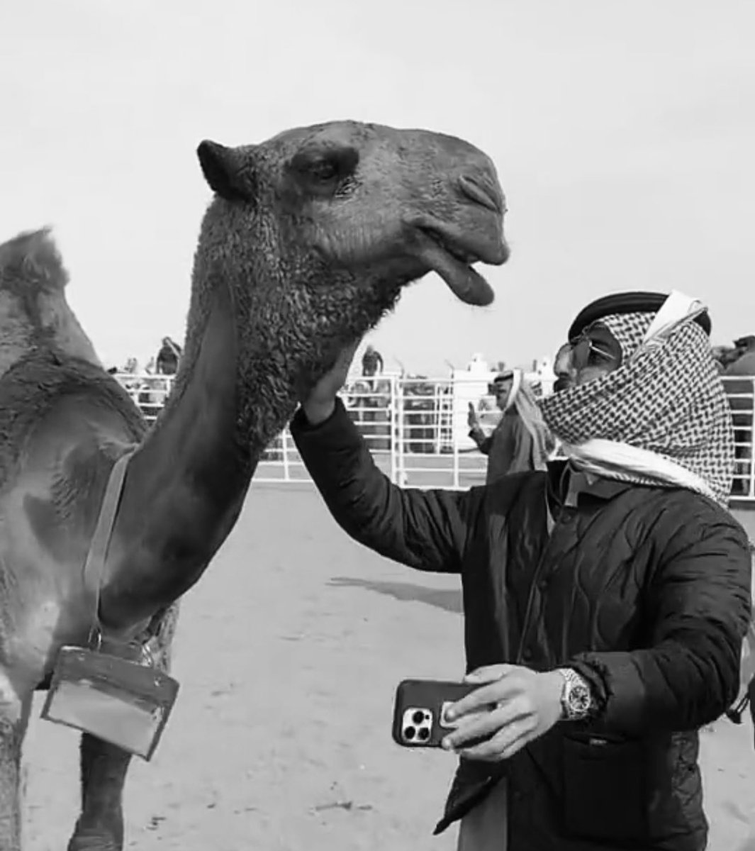 #نواف_عقاب

" البل عطايا اللّٰه رفيع مقامها
 اللّٰه وهَبنًا حبها من صغرنا"