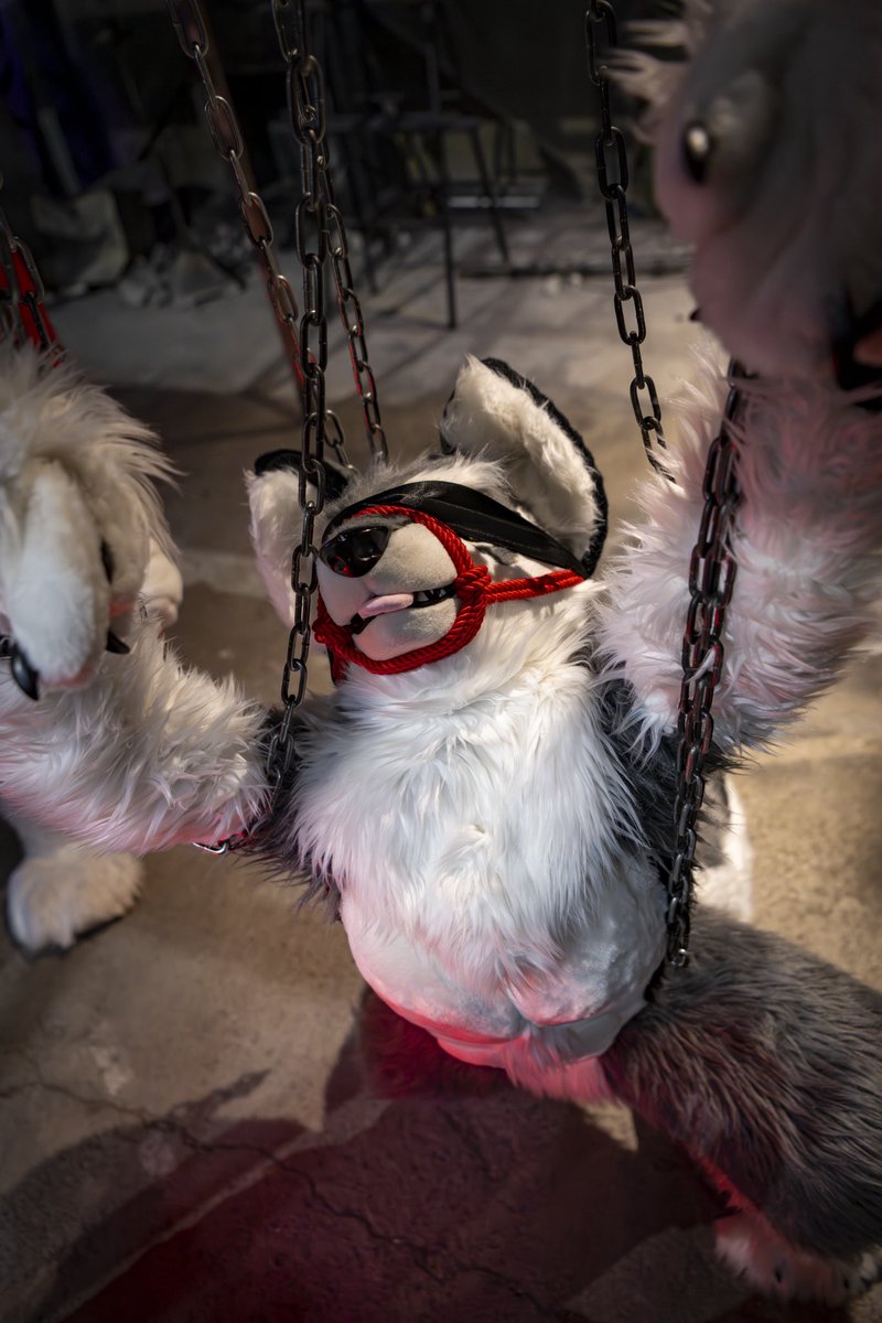 フォルカ｜Volker tweet media