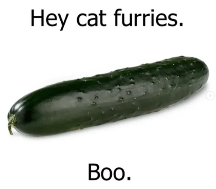 Shitpost 2077 (@shitpost_2077) on Twitter photo 