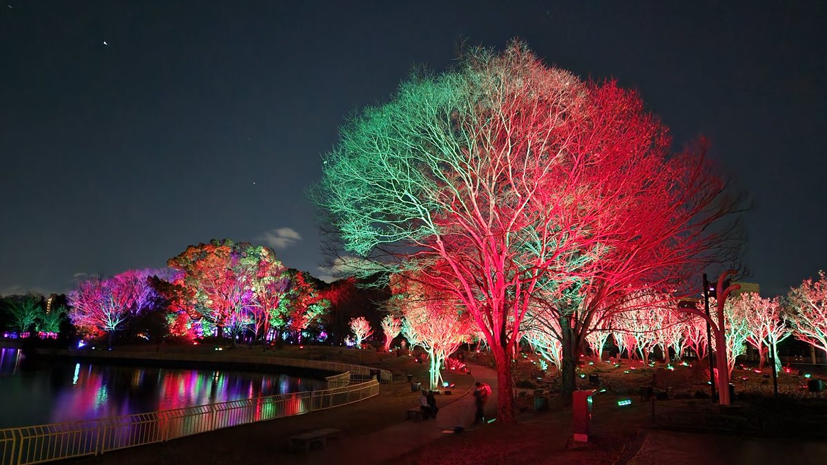 チームLabはじめてや。。