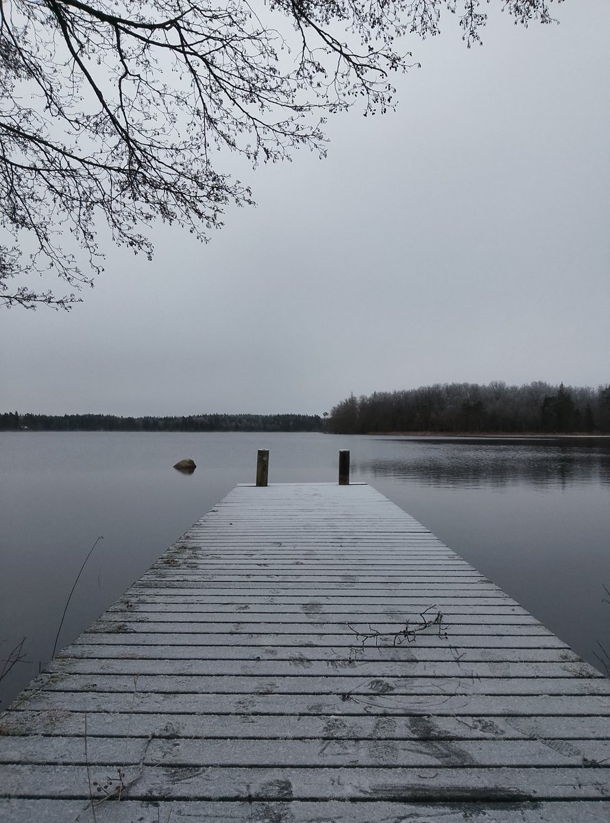 obsessed with this picture I took in Sweden on crimbus eve