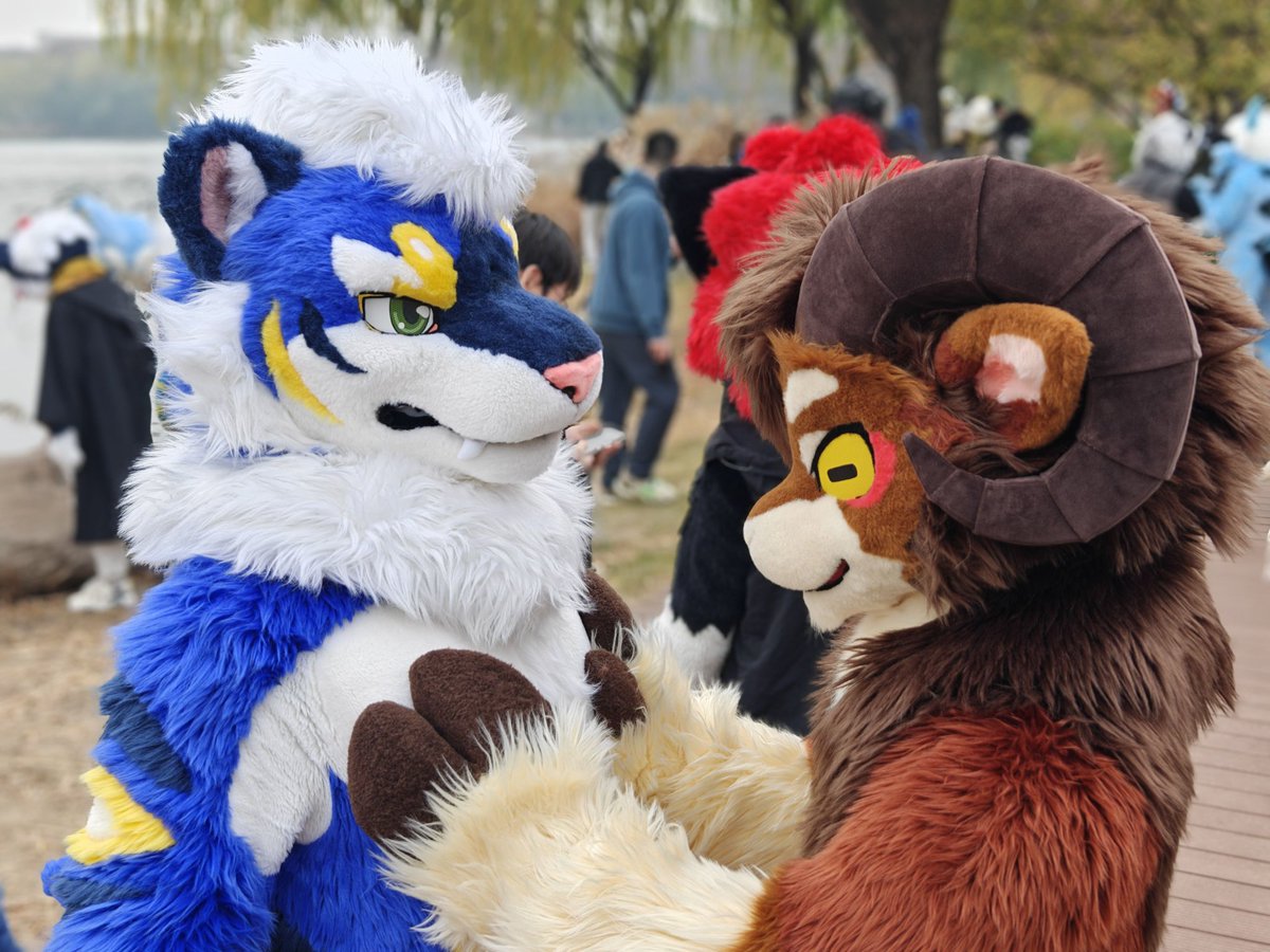 今年最後一次的毛五😆

#fursuitfriday