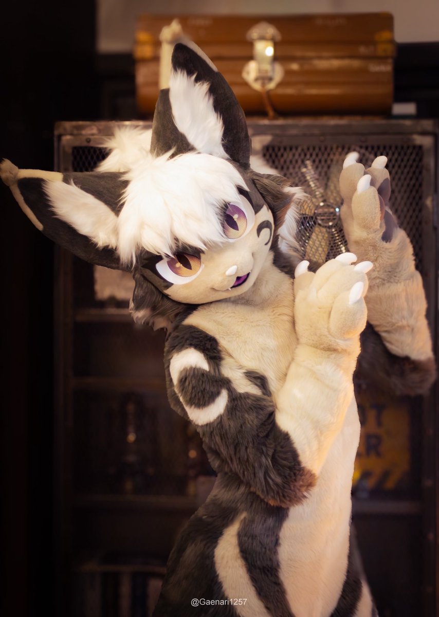 크레센 Crescen 😼 tweet media