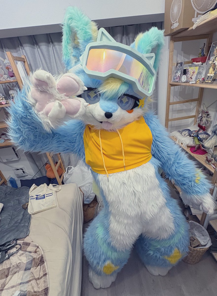 もふルゥ🔰(ルミナくんオーナー) tweet media