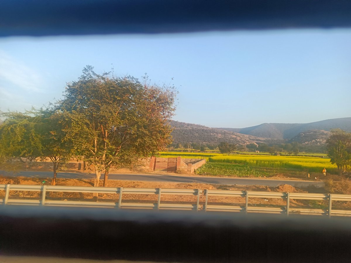 vinayswami2020's tweet photo. A beautiful glimpse of the Aravalli range on the journey 🌄✨
Every mile feels peaceful here.
#AravalliHills #NatureVibes #EarthLovers #ScenicView #IndianLandscape #SunlitFields #NatureGram #RuralIndia https://t.co/nBGVEtswFV