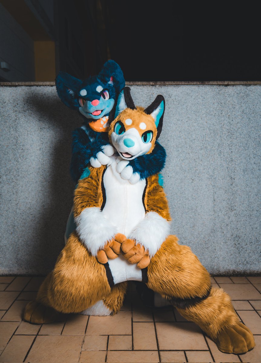 ネコタ@NEKOTA➡WFF (@hinekota) / Posts / X