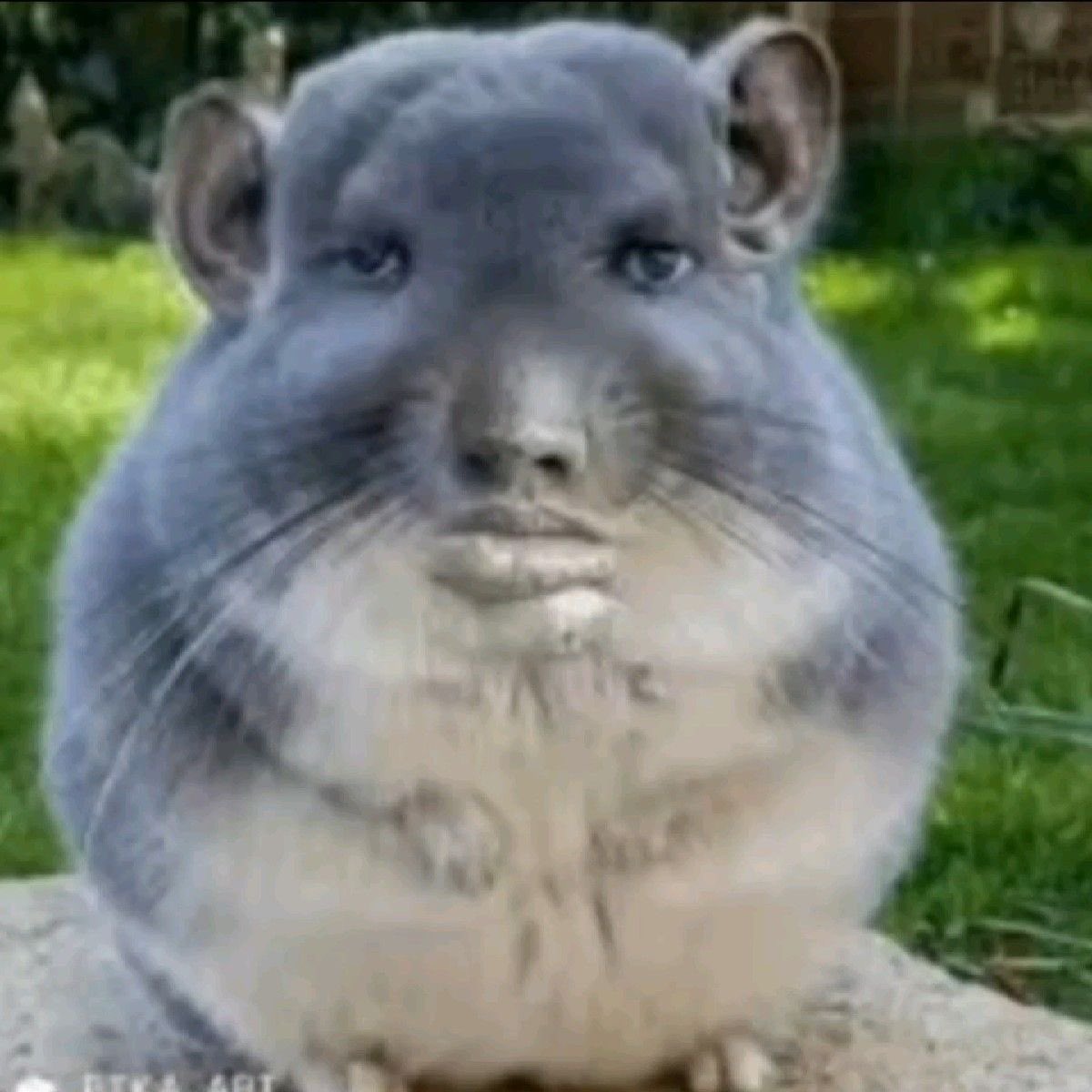 kelantemy's tweet image. j’ai échangé avec un mec pour parler des difficultés à être une femme c’est pas il me dit « beh c’est difficile d’être un homme aussi » j’ai demandé pourquoi « parce que les femmes peuvent t’accuser de vi.ols »