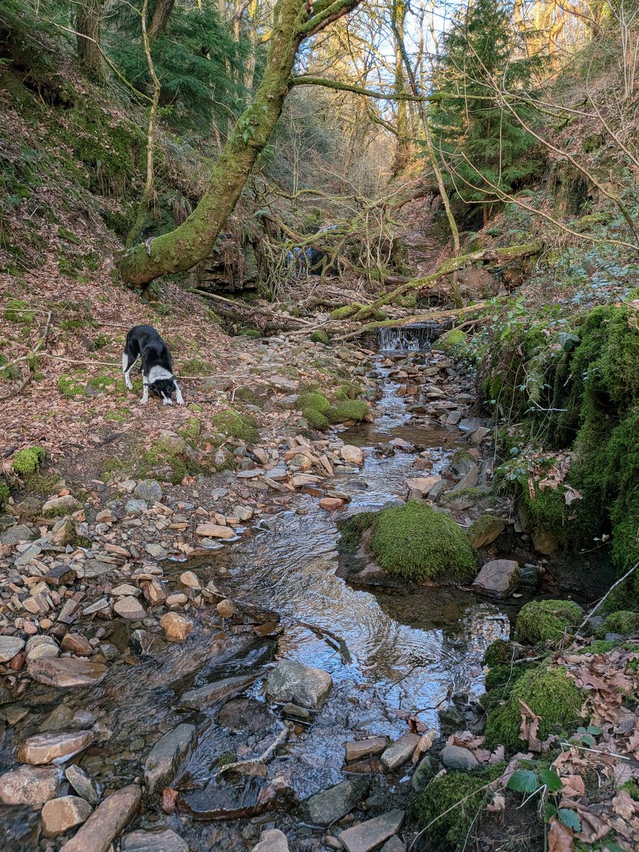 Dylan's Tours of Wales tweet media