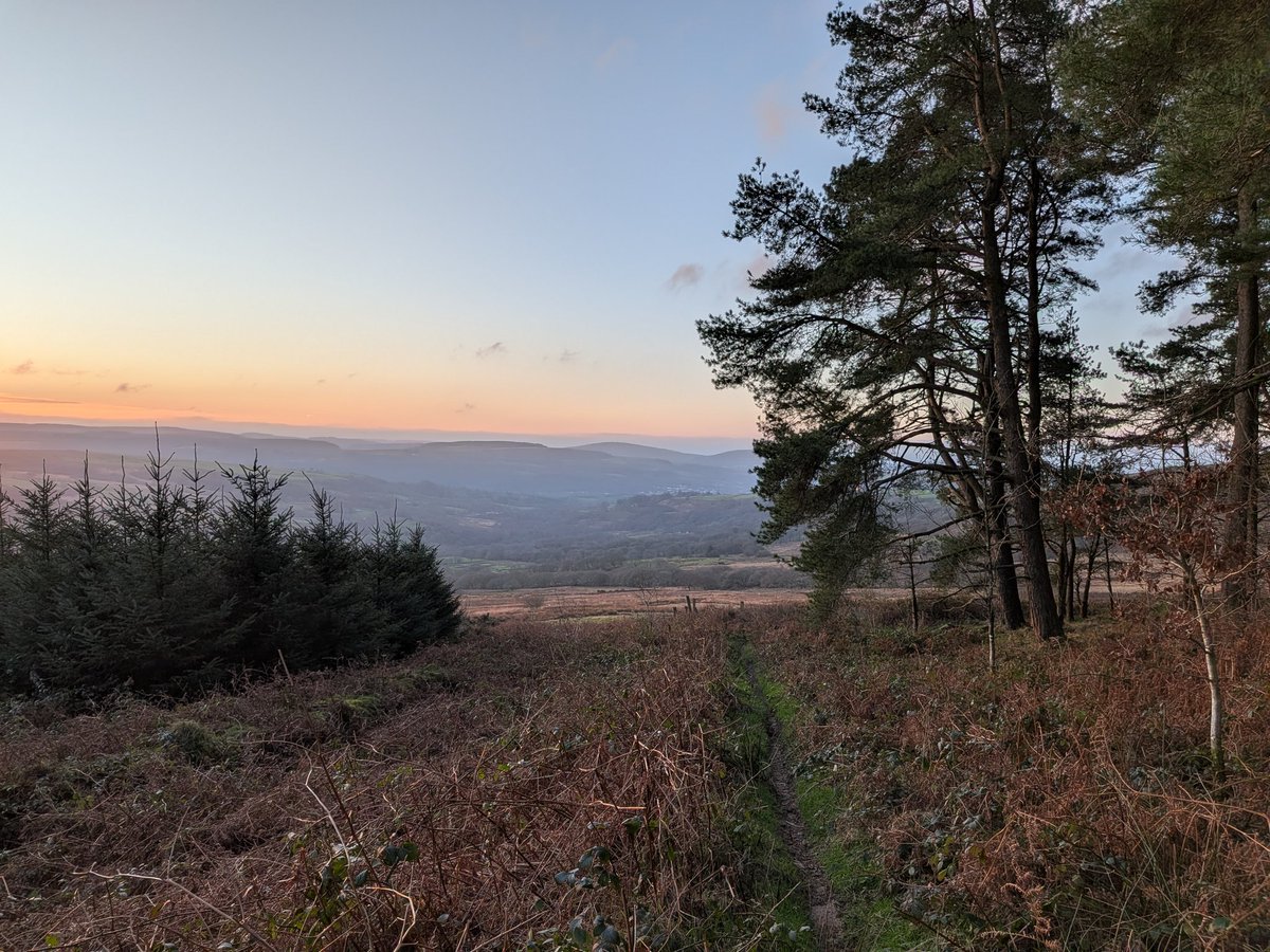 Dylan's Tours of Wales tweet media