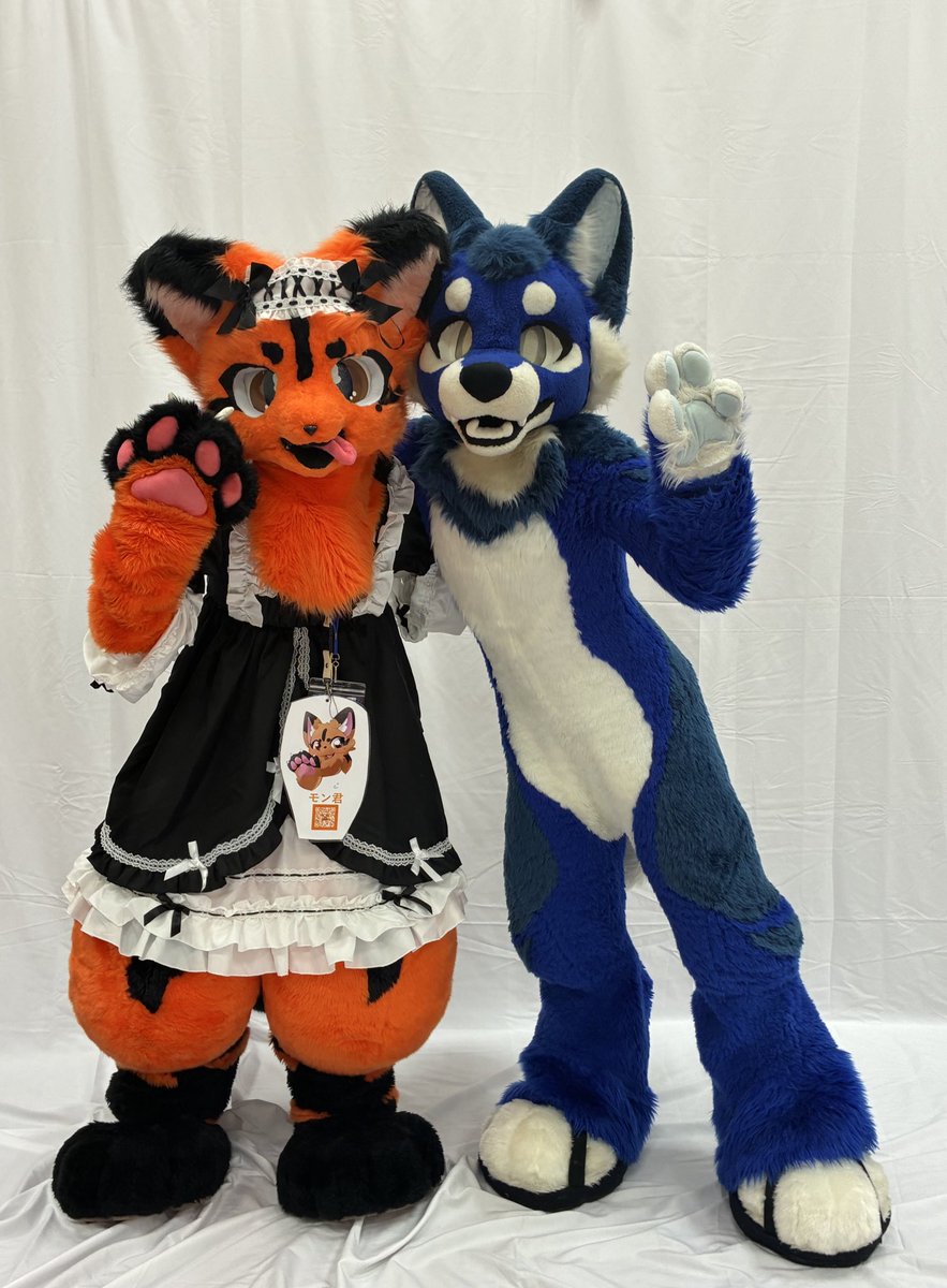 カメラに向かってハイポーズ📸！ アルファ君可愛い💕 #FursuitFriday