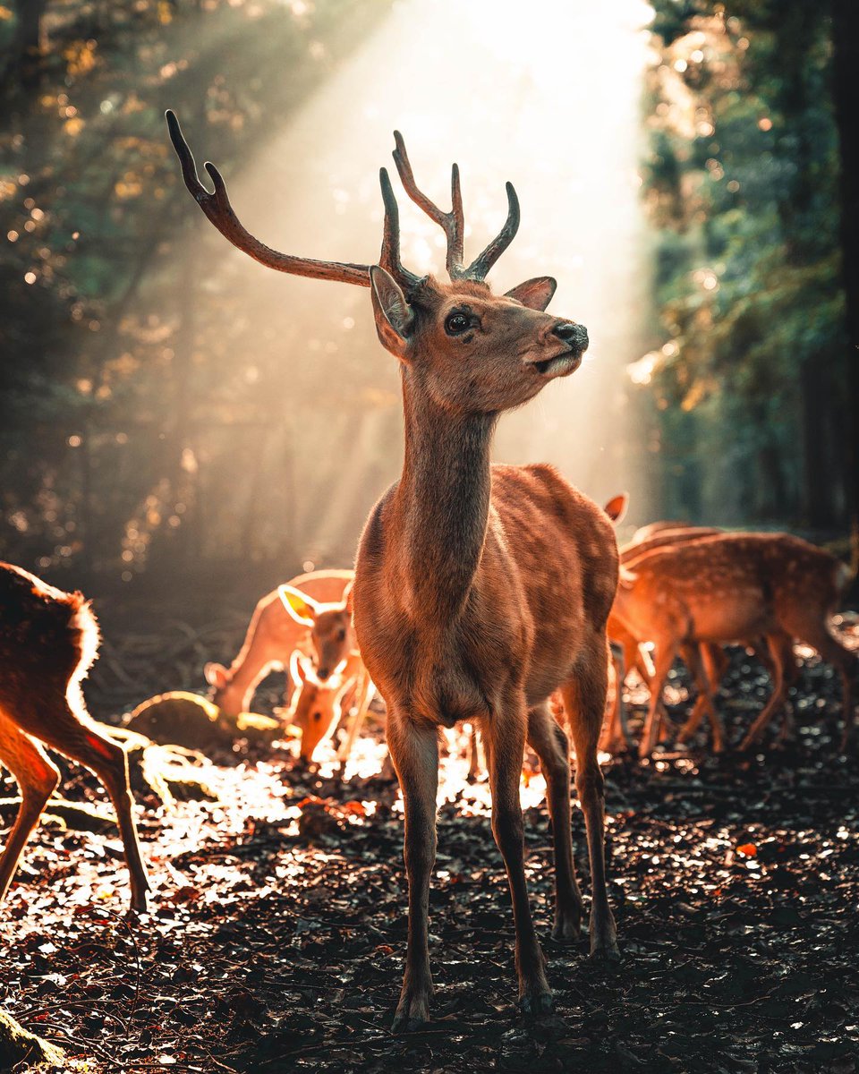 おめでとうございます！そして、ありがとうございます！！ @Pharao444