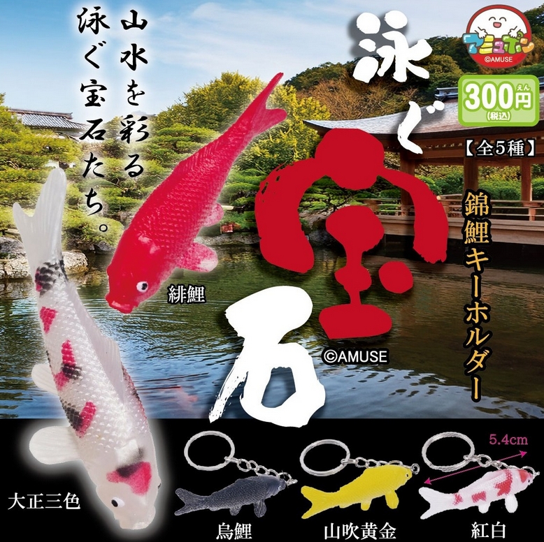 泳ぐ宝石  錦鯉の遊泳　NO 2 泳ぐ宝石 錦鯉の遊泳 NO 2