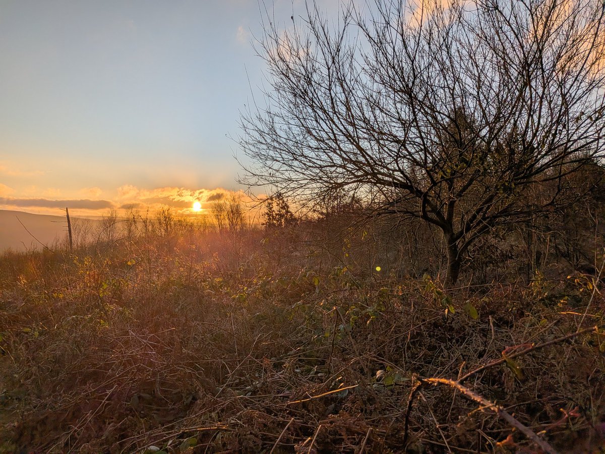 Dylan's Tours of Wales tweet media