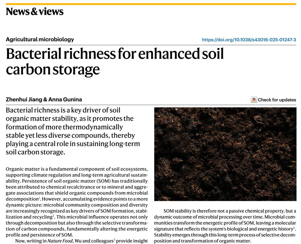 New in Nature Food:
Bacterial richness for enhanced #soil #carbon storage
Zhenhui Jiang  &amp;  Anna Gunina
doi.org/10.1038/s43016…

#SoilOrganicMatter #microbialbiomass #MicrobialNecromass #soilbacteria