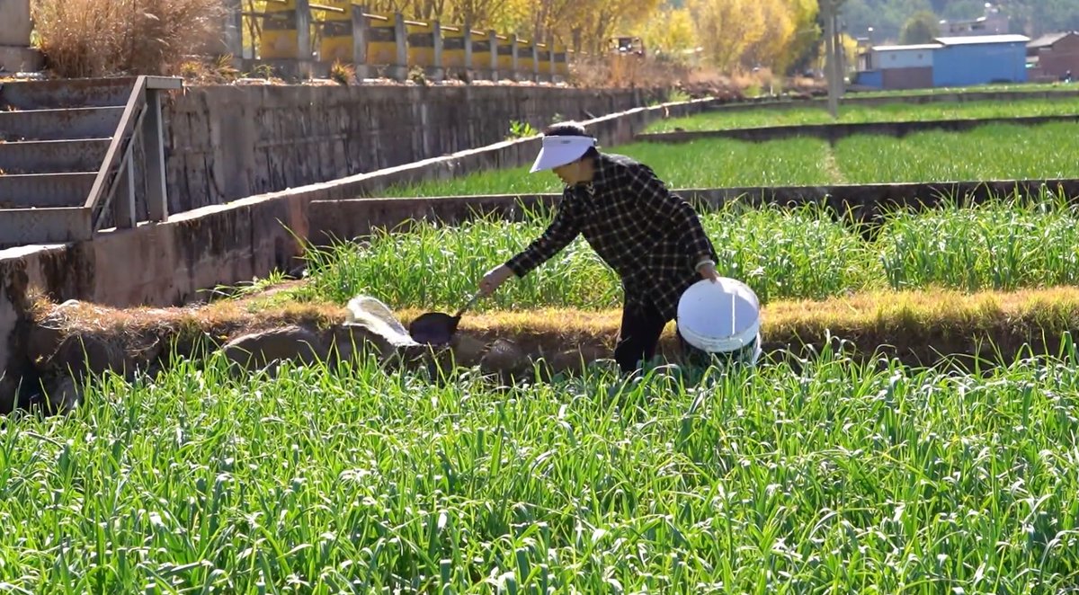 MingalaNews's tweet photo. ပင်ချွမ်း (Binchuan) ခရိုင်၊ ဖျင်ချွမ်း (Pingchuan) မြို့နယ်မှာ ၉.၃ ကီလိုမီတာ ရှည်လျားတဲ့ မြစ်နံဘေးလမ်းမကြီးဟာ ရွာသူရွာသားတွေအတွက် "ပျော်ရွှင်ခြင်းလမ်း" ဖြစ်လာပါတယ်။ "အရင်က လမ်းမရှိလို့ ပစ္စည်းရောင်းရခက်ပေမယ့် အခုတော့ ကားတွေကလယ်ကွင်းထဲအထိ လာလို့ရနေပြီ" လို့ ဒေသခံတစ်ဦးကဆိုပါတယ်။ https://t.co/H5AzRvefIw