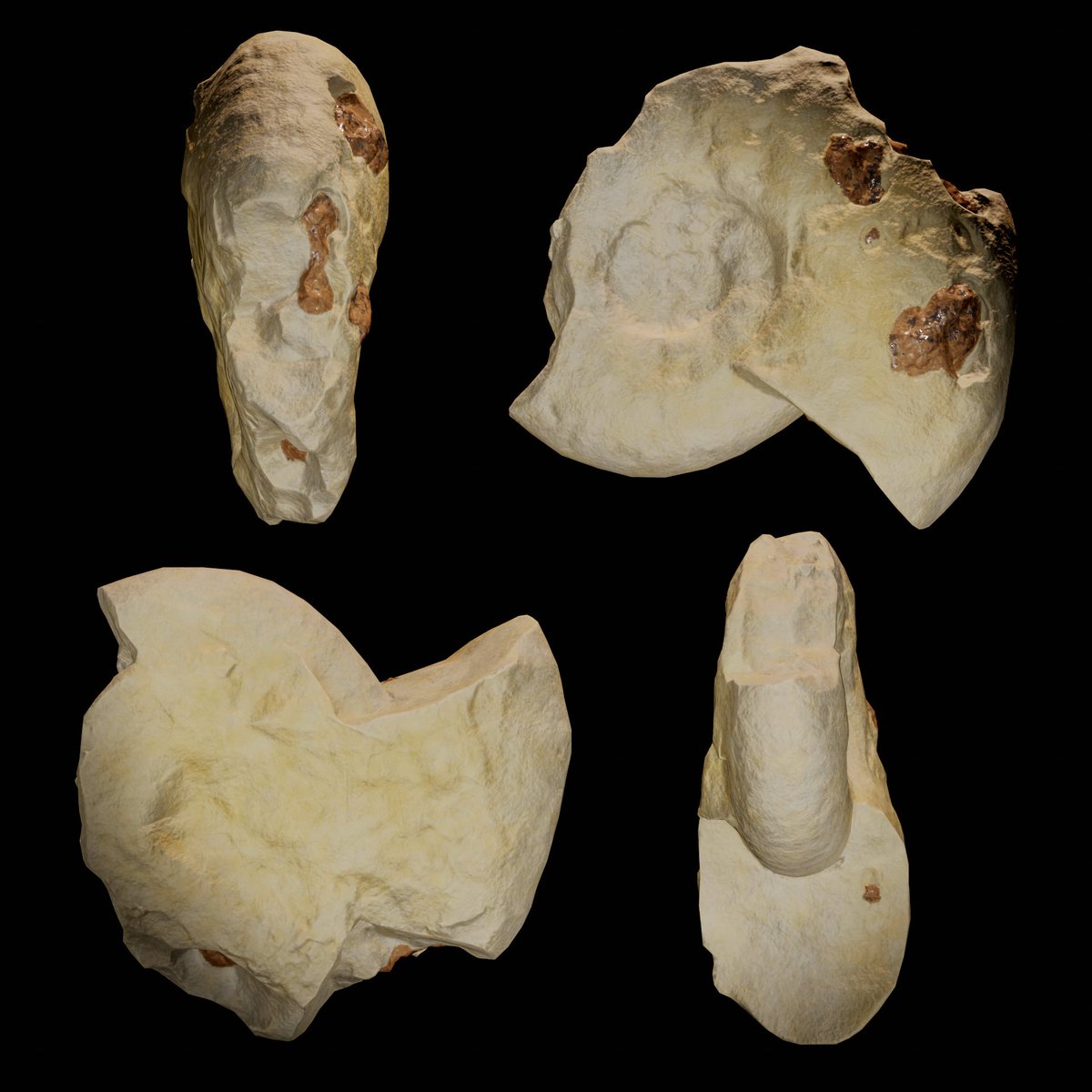 Miguel Romá tweet media