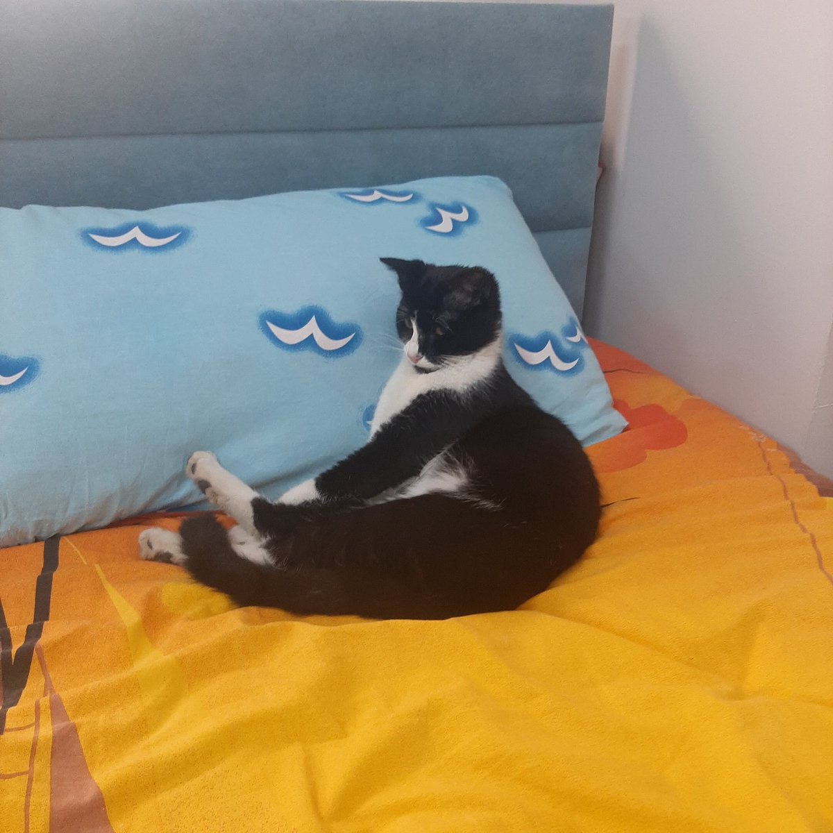 Beni aradılar acil gel diye🙄
Aciliyet:: Atölyeye girmiş  yatıyor 🤣🤣