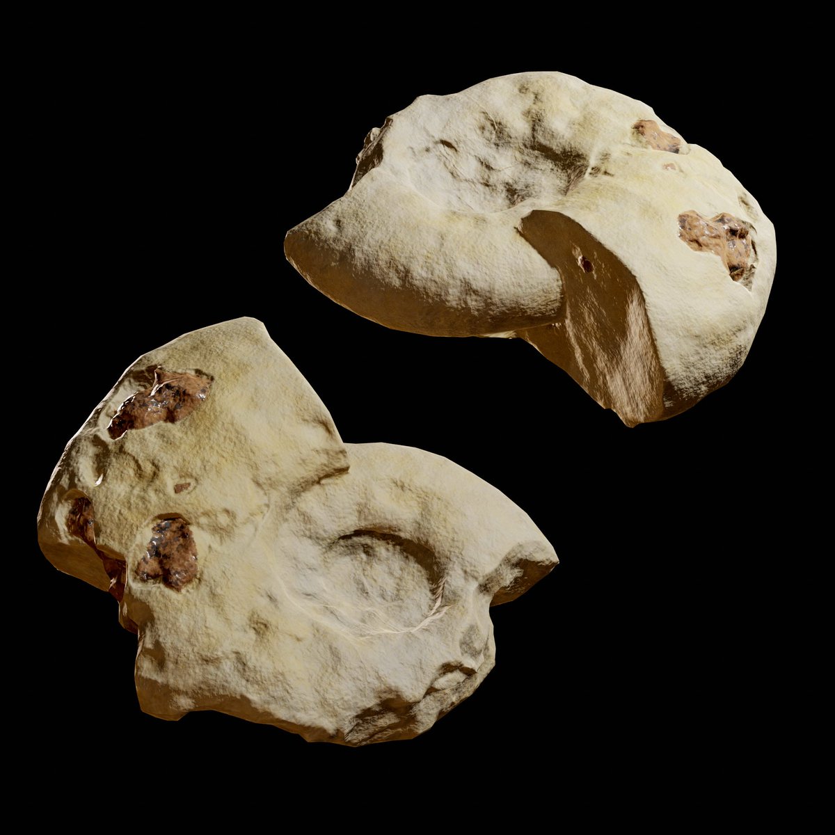 Miguel Romá tweet media