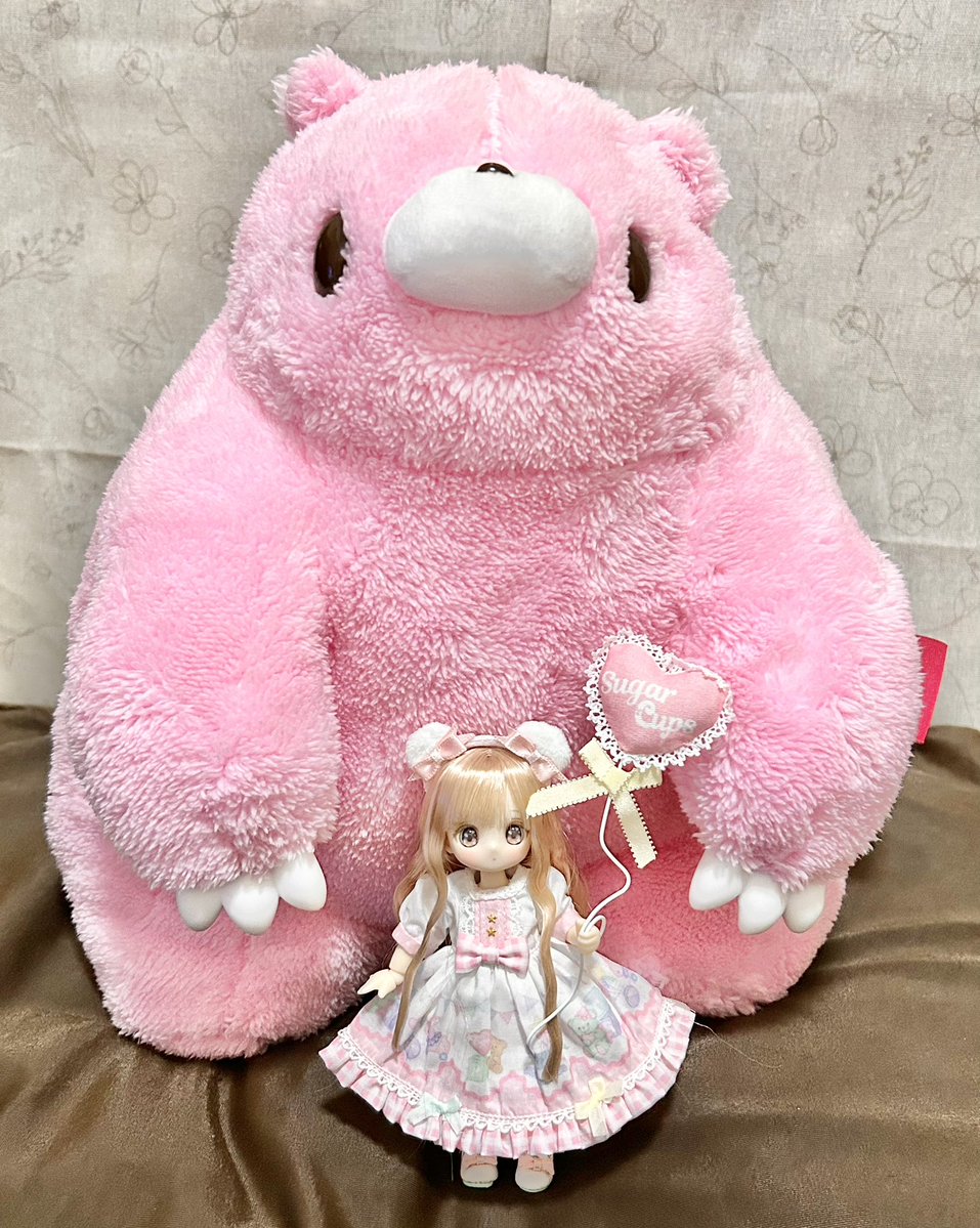 Post by kuroꕤ︎︎ on X: くま…？