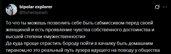 Никита Булгаков 🦔 tweet media