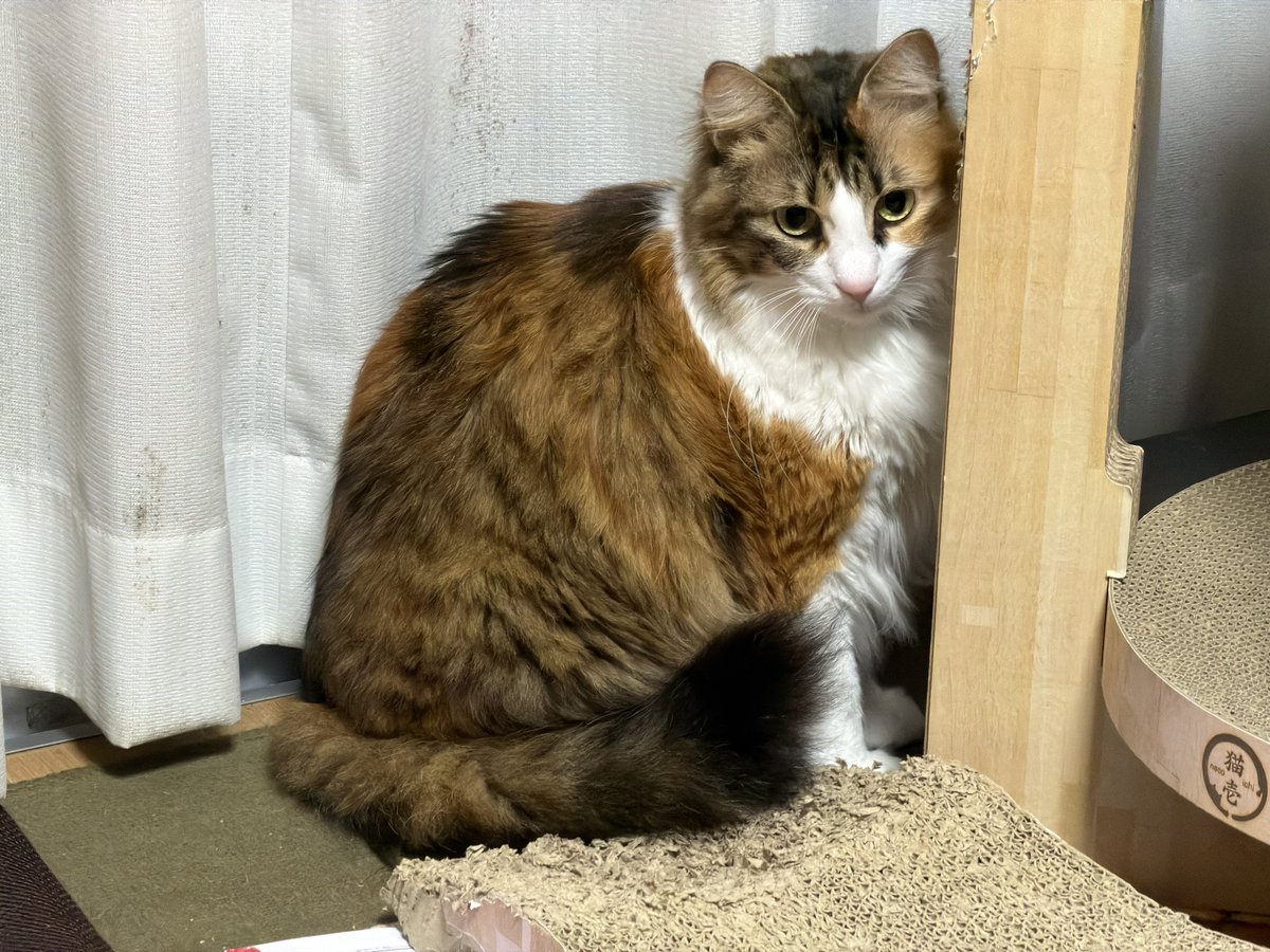 あきひろ (@akihiro360) / Posts / X