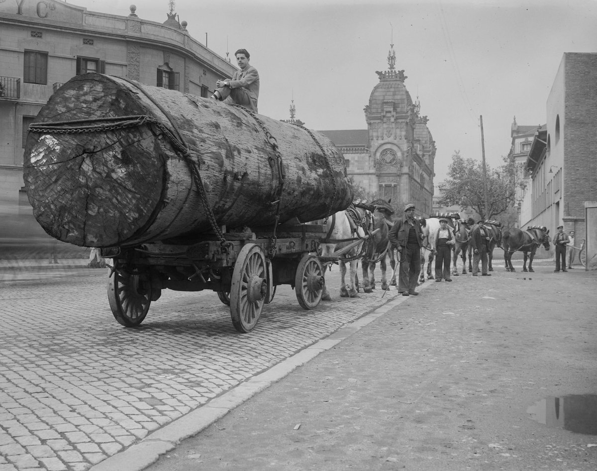 Mon avi arribant a casa assegut en el tió, un any després que la iaia li digués en el dinar de Nadal que era massa petit, esquifit i escarransit. 

Cantonada carrer Roger de Flor amb Almogàvers. 

Barcelona, desembre de 1934. 

📸 Pere Català.