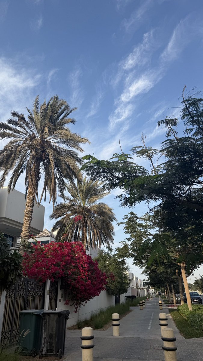 DPTLayan's tweet image. December randoms✨✨