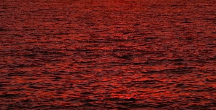 here_soumya's tweet image. beach dump 2025