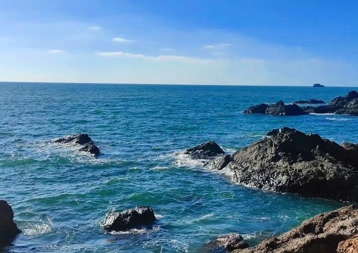 here_soumya's tweet image. beach dump 2025