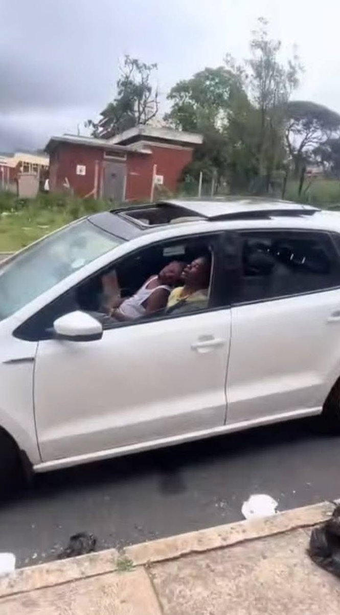 The Instigator tweet media