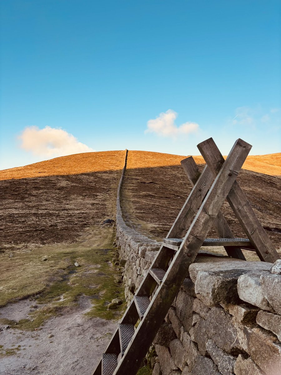 Michael Morgan tweet media