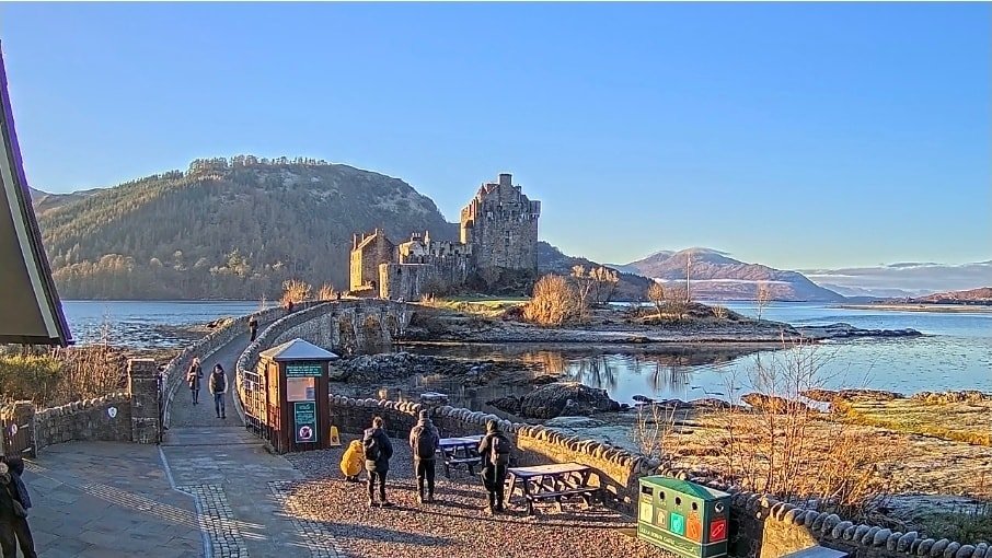 freddie barss tweet media