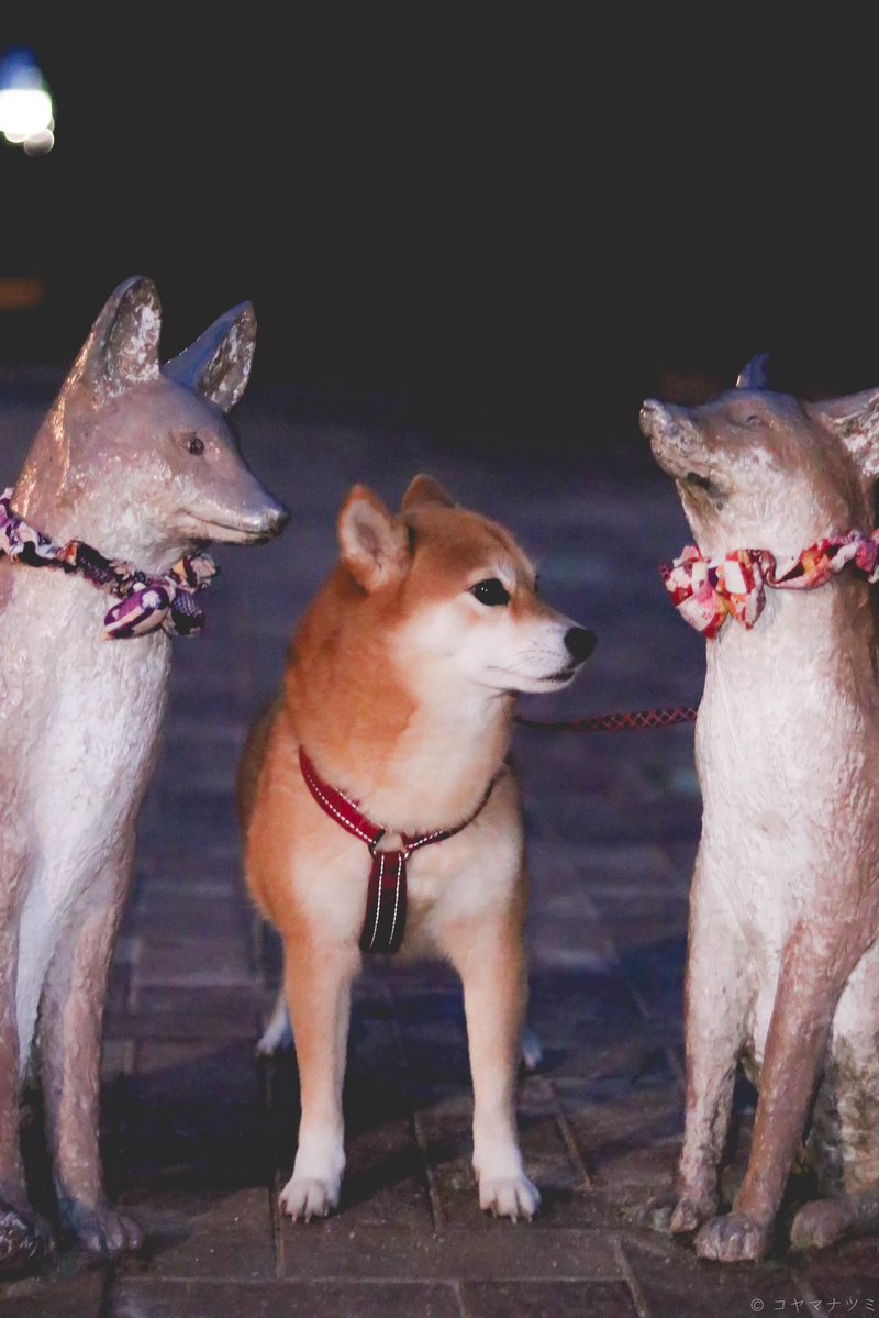 え、あ、、、、「「「ｺﾝｯ‼︎‼︎」」」