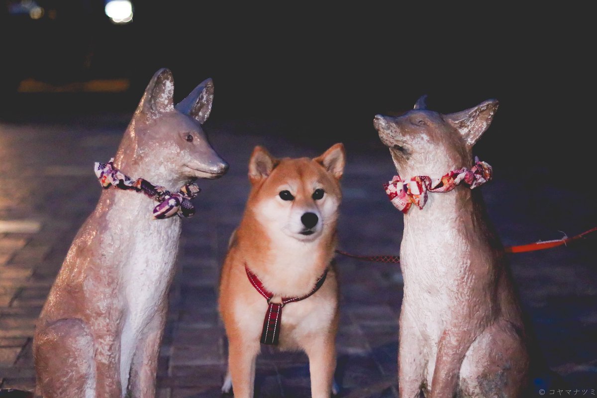 え、あ、、、、「「「ｺﾝｯ‼︎‼︎」」」