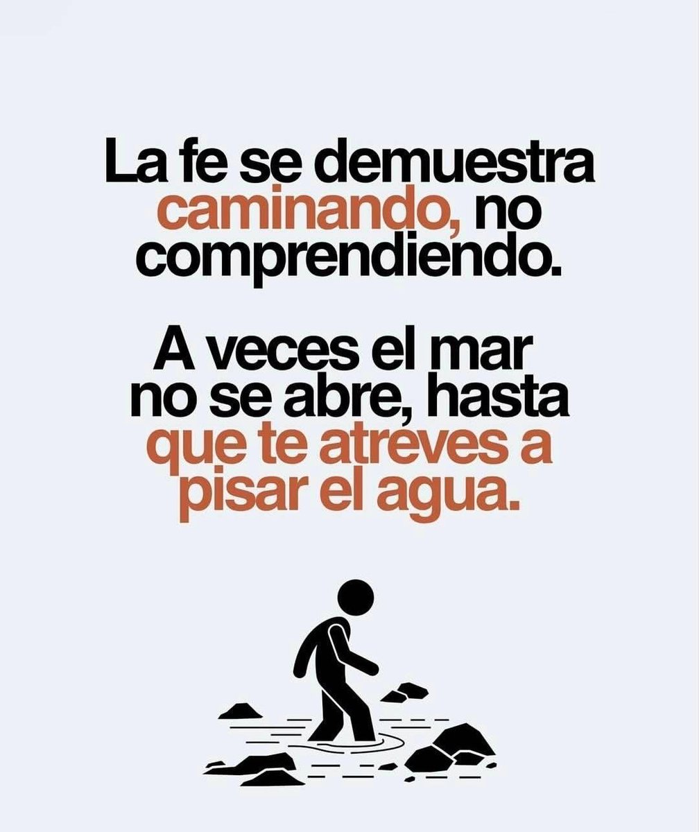 elcuradetodos's tweet image. Tu felicidad está en el plan de Dios.
Déjate guiar por Él, ten fe y confía.
#SoloDiosBasta