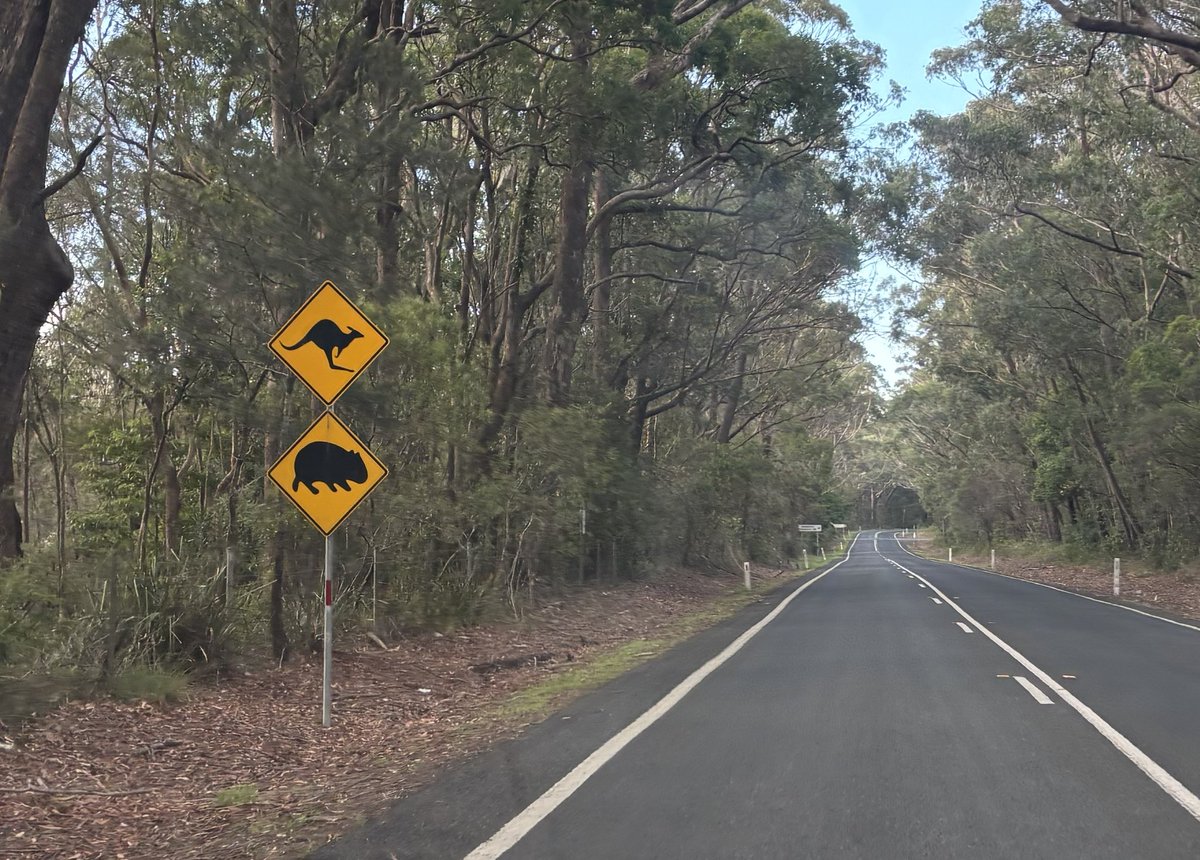 lumizap⚡️GerVtuber tweet media