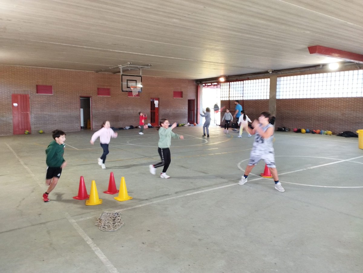 Auseva Baloncesto tweet media